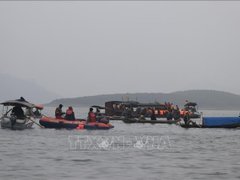 Đọc nhanh bài viết 210933