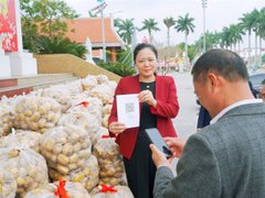 Đọc nhanh bài viết 210942