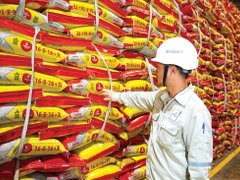 Đọc nhanh bài viết 210973