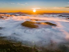 Đọc nhanh bài viết 211009