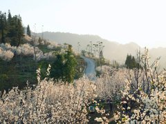 Đọc nhanh bài viết 211025