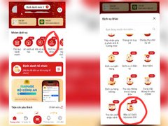 Đọc nhanh bài viết 211117