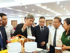 Đọc nhanh bài viết 211347