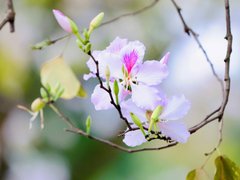 Đọc nhanh bài viết 211364