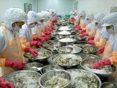 Đọc nhanh bài viết 211434