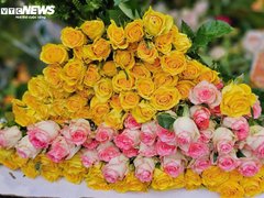 Đọc nhanh bài viết 211496