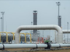 Đọc nhanh bài viết 211527