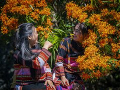 Đọc nhanh bài viết 211541