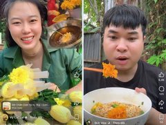 Đọc nhanh bài viết 211571