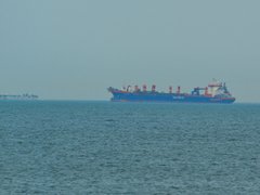 Đọc nhanh bài viết 211646