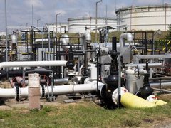 Đọc nhanh bài viết 211650