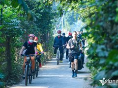 Đọc nhanh bài viết 211824