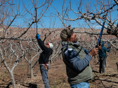 Đọc nhanh bài viết 211836