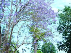 Đọc nhanh bài viết 211867