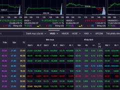 Đọc nhanh bài viết 211888