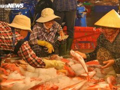 Đọc nhanh bài viết 211973