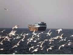 Đọc nhanh bài viết 211991