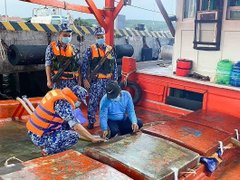 Đọc nhanh bài viết 211992