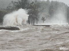 Đọc nhanh bài viết 211997