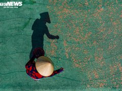 Đọc nhanh bài viết 212015