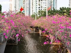 Đọc nhanh bài viết 212057