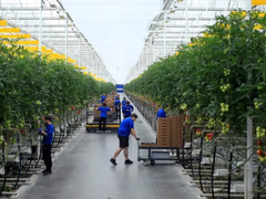 Đọc nhanh bài viết 212064