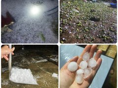 Đọc nhanh bài viết 212124