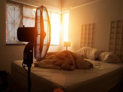 Đọc nhanh bài viết 212144