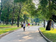 Đọc nhanh bài viết 212161