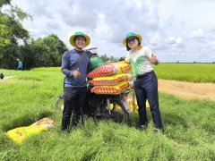 Đọc nhanh bài viết 212243