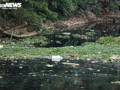 Đọc nhanh bài viết 212307