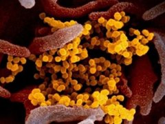 Đọc nhanh bài viết 212322