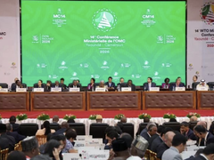 Đọc nhanh bài viết 212327