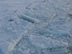 Đọc nhanh bài viết 212339