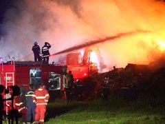 Đọc nhanh bài viết 212346