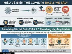Đọc nhanh bài viết 212407
