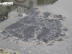 Đọc nhanh bài viết 212466