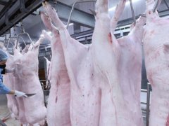 Đọc nhanh bài viết 212471