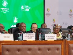 Đọc nhanh bài viết 212476