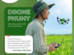 Đọc nhanh bài viết 212494