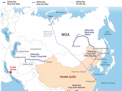 Đọc nhanh bài viết 212505