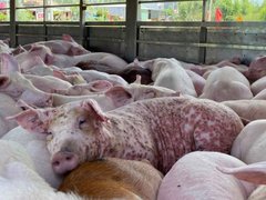 Đọc nhanh bài viết 212541