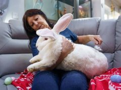 Đọc nhanh bài viết 212549