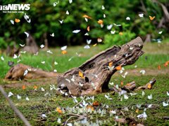 Đọc nhanh bài viết 212562