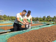 Đọc nhanh bài viết 212570