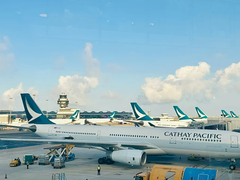 Đọc nhanh bài viết 212622