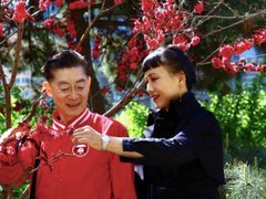 Đọc nhanh bài viết 212647