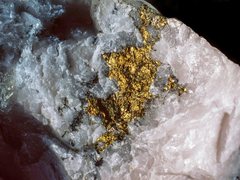 Đọc nhanh bài viết 212824