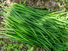 Đọc nhanh bài viết 212858