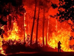 Đọc nhanh bài viết 212869